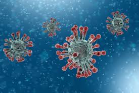 Information Coronavirus
